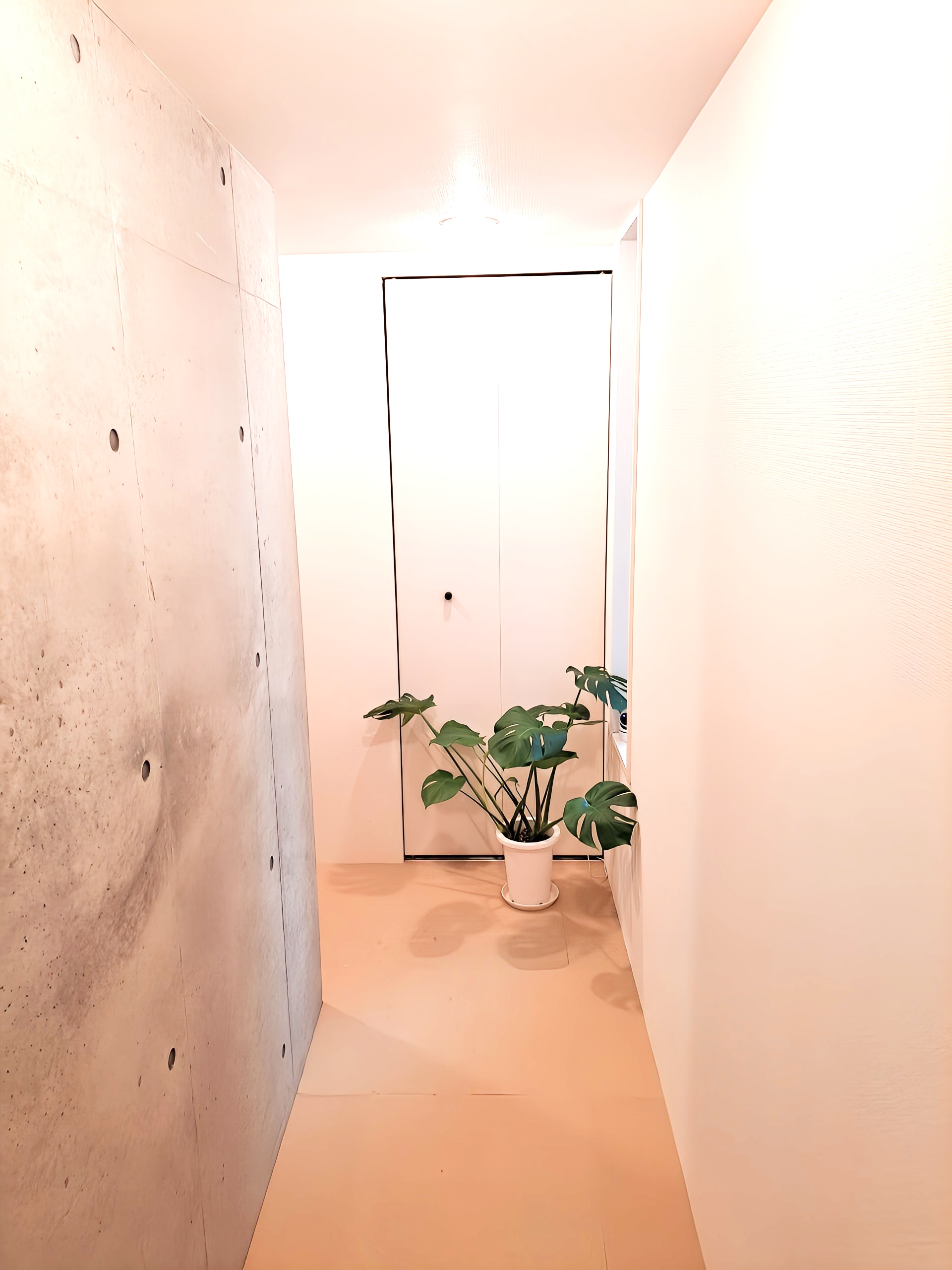 リジュランの効果